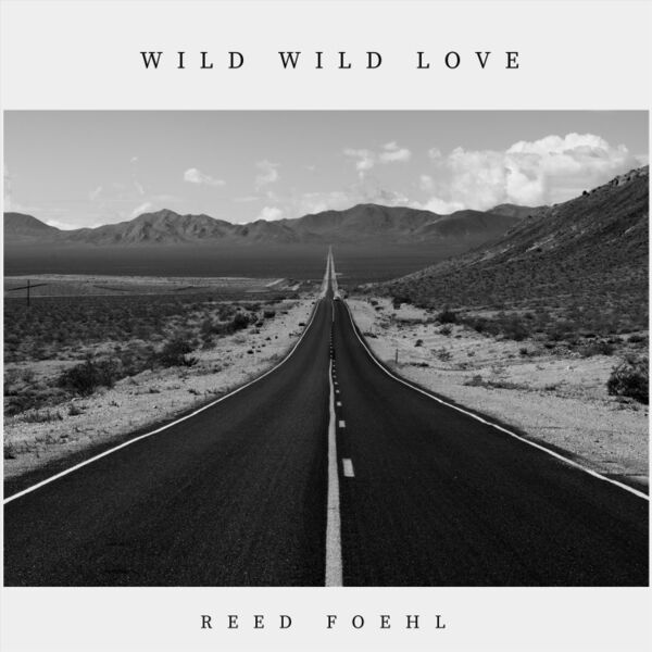 Cover art for Wild Wild Love
